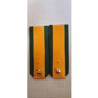 Погоны