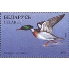 Беларусь 1996 фауна утки