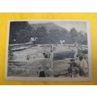 Кисловодск