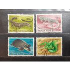 Папуа Новая Гвинея. 1972 год. Фауна. Пресмыкающиеся (1065)