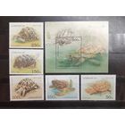 Азербайджан. 1995 год. Фауна. Рептилии. Черепахи (блок и 5 марок) (1113)