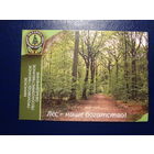 Календарик 2007 г.  Минское производственное лесохозяйственное объединение.