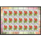 Беларусь. 2008. Стандарт.  Тюльпан (100р) (з.20-2010) Лист