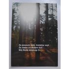 Открытка Лес. (на польском)