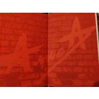 Книга. Константин Кинчев. Группа "Алиса".