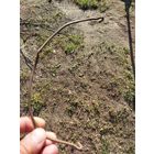 Медная ручка от котелка царского периода