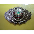 Кокарда лесников РБ большая (т/м)