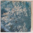 ЕР Поют Нани Брегвадзе И Вахтанг Кикабидзе (1980)