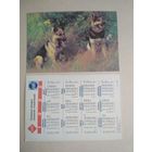 Карманный календарик. Собаки . 1995 год