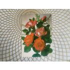 Открытка СССР 1983 год.   Чистая. И.Дергилев . Состояние на скане.