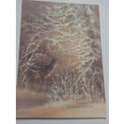 Исаков С Новым годом!