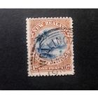 Новая Зеландия \200вк\  1898 пальмы горы