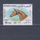 [74] Ирак 1969. Фауна.Лошади на почтовых марках. Гашеная марка.