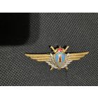 Классность Штурман 1