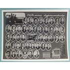 Минск  БГУ отделение журналистики  1950 - 1956