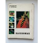 Экскурсия в природу. Насекомые. 1980 год. 23 из 25 открыток.