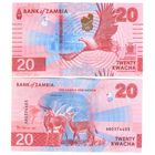Замбия 20 квача 2024 год UNC