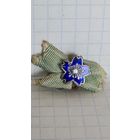 МЕДАЛЬ ЗНАК ЭМБЛЕМА ЯПОНИЯ ЗВЕЗДА ОРДЕН ЭМАЛЬ 1939 -1945 годы