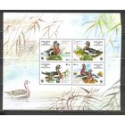 ФФ1 Украина 1998 Казарки