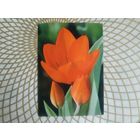 Открытка СССР 1983 год.   Чистая. Н.Матанов . Состояние на скане.