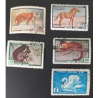 СССР 1959 Фауна. не полная  без рябчика