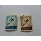 Польша, лыжный спорт