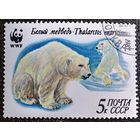 Марка СССР 1987 год Белый медведь