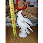 Попугай . Германия