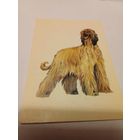 Календарик 1994г.