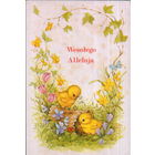 Подписанная открытка Польша 1996г. "Пасха. Цыплята"