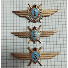 Летная классность