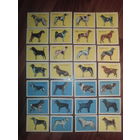 Спичечные этикетки. Сувенирный набор. Служебные и охотничьи собаки.1983 год