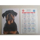 Карманный календарик. Собака . 1995 год