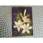 Открытка СССР 1989 год.   Чистая. И.Дергилев . Состояние на скане.