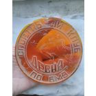 Медаль Настольная Спортивный клуб Десна ПО БМЗ.