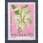 [1161] Польша 1964. Флора.Цветы.Орхидея. MNH