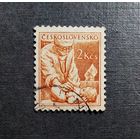 Марка Чехословакия 1954 год Стандарт