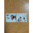 Беларусь марки с купоном 2003 г. Собаки