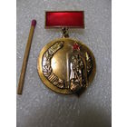 Знак. Почётный знак СКВВ. Советский комитет Ветеранов Войны. тяжёлый, ЛМД