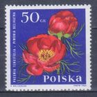 [1161] Польша 1965. Флора.Цветы.Пионы. MNH