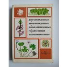 Дзеразападобныя. Хвошчападобныя. Папарацепадобныя. Голанасенныя. Пакрытанасенныя // Серия: Наша прырода
