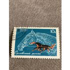 СССР 1968. Породы лошадей. Орловский рысак. Марка из серии