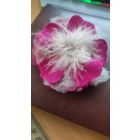 Брошь цветок