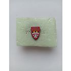 ФК Шахтёр Солигорск Чемпион 2020 г.