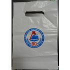 Добровольное спортивное общество "Локомотив" 1936-2016 80 лет БЧ Полиэтиленовый пакет. Корпоративное исполнение Размер  32 см х 20 см