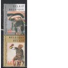 Бельгия-2002(Мих.3102-3103)  **   , Спорт,  Велосипеды, Велоспорт,