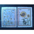 Ирак 1998 Цветы