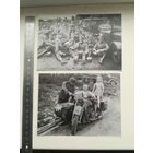 Две фотокопии. С рубля.