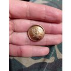 Пуговица латунная Лесника 1956г (21мм)