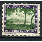 Индонезия (Локальные выпуски) - 1948 - Самолет над горой Суматра 1R - [Mi.83] - 1 марка. MH.  (LOT ET12)-T10P5